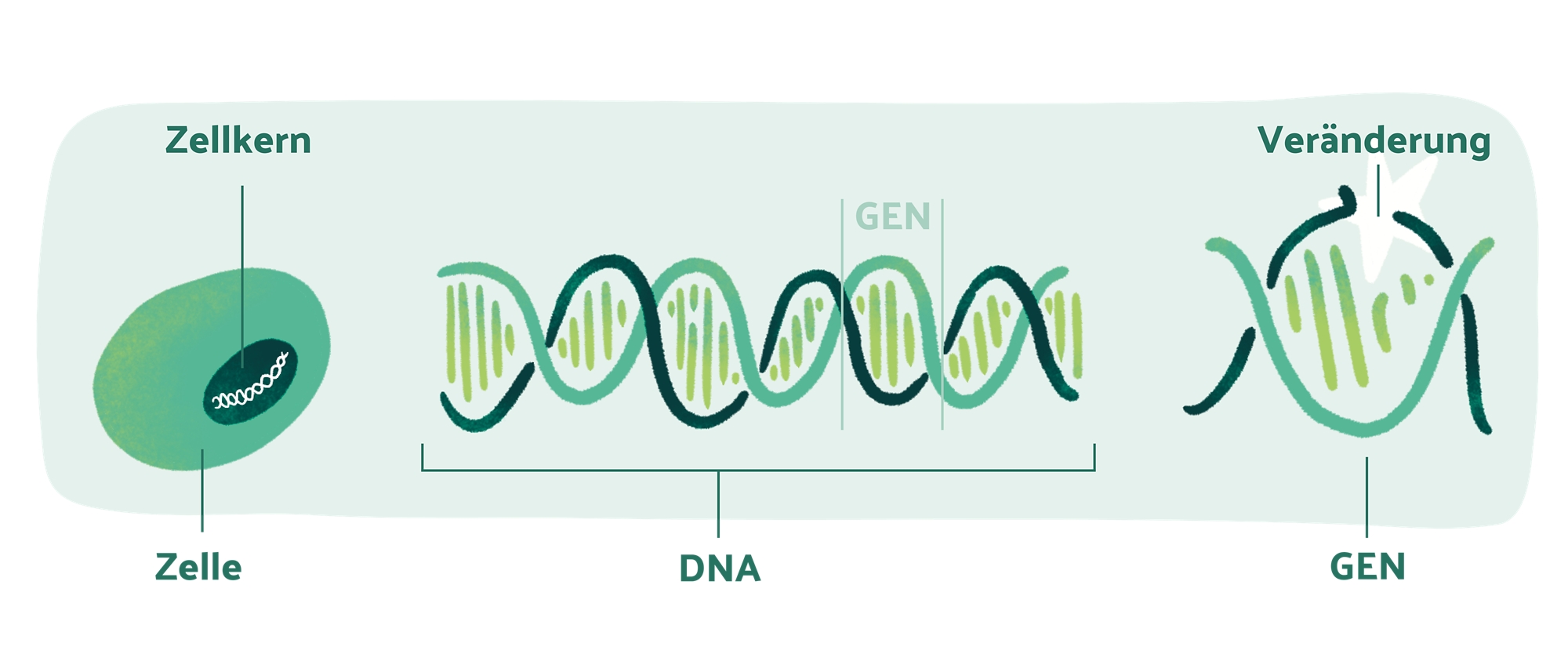 schweregrade-haemophilie.jpg