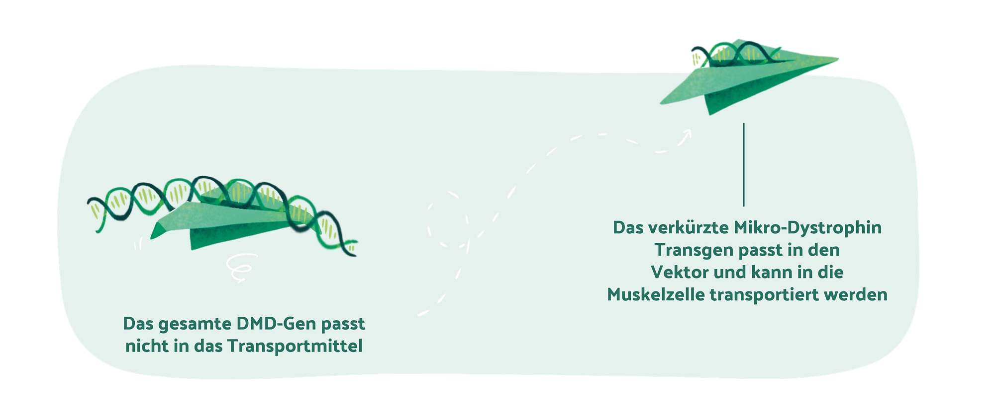 schweregrade-haemophilie.jpg
