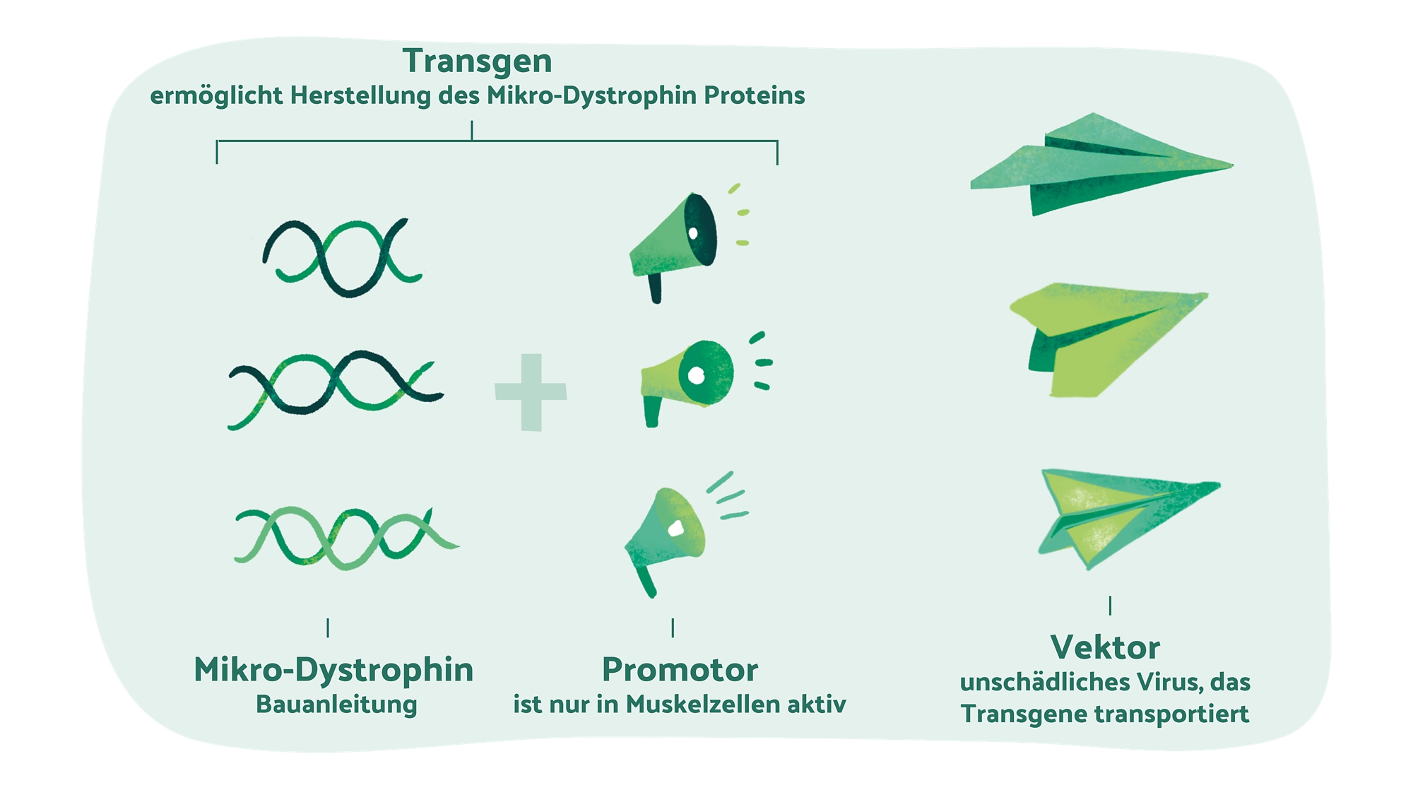 schweregrade-haemophilie.jpg