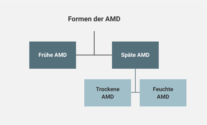 formen-der-amd.png