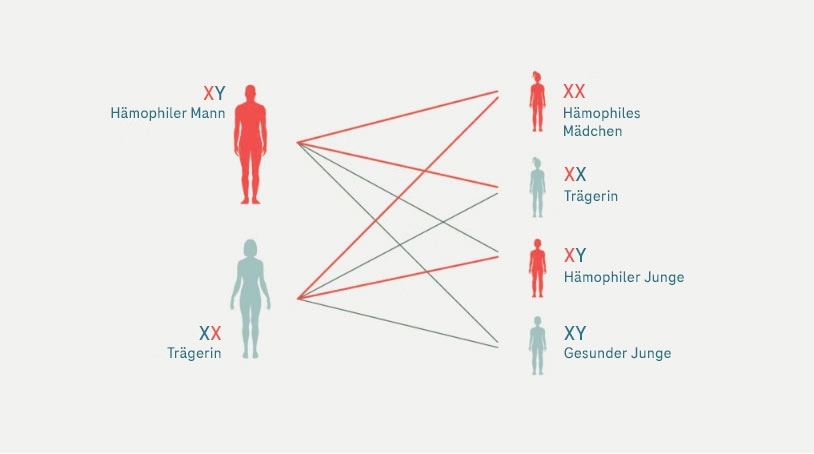 diagnose-2.jpg