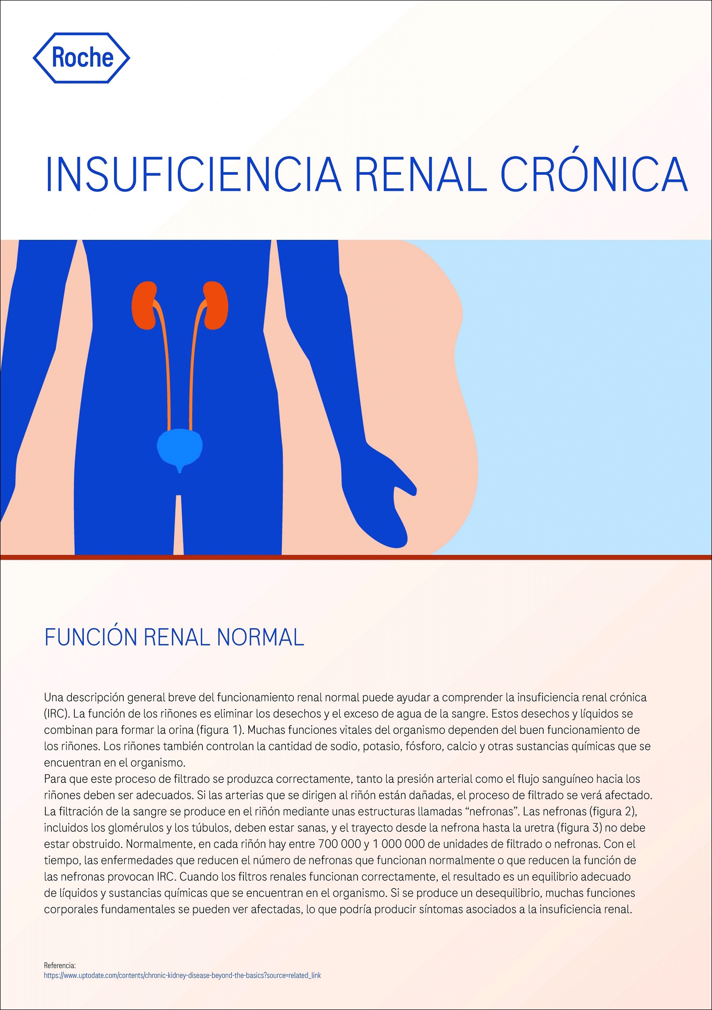 enfermedad-renal-cronica
