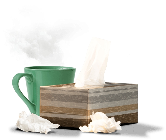 tissue mug