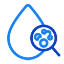 Blood in the urine