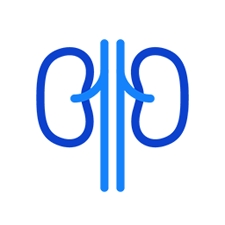 Kidneys