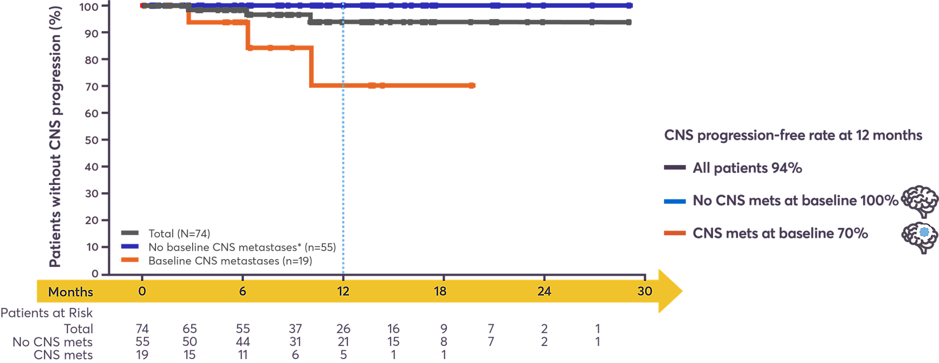 CNS progression-free rate at 12 months