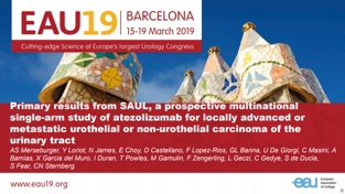 The SAUL study slide deck presented at EAU 2019.