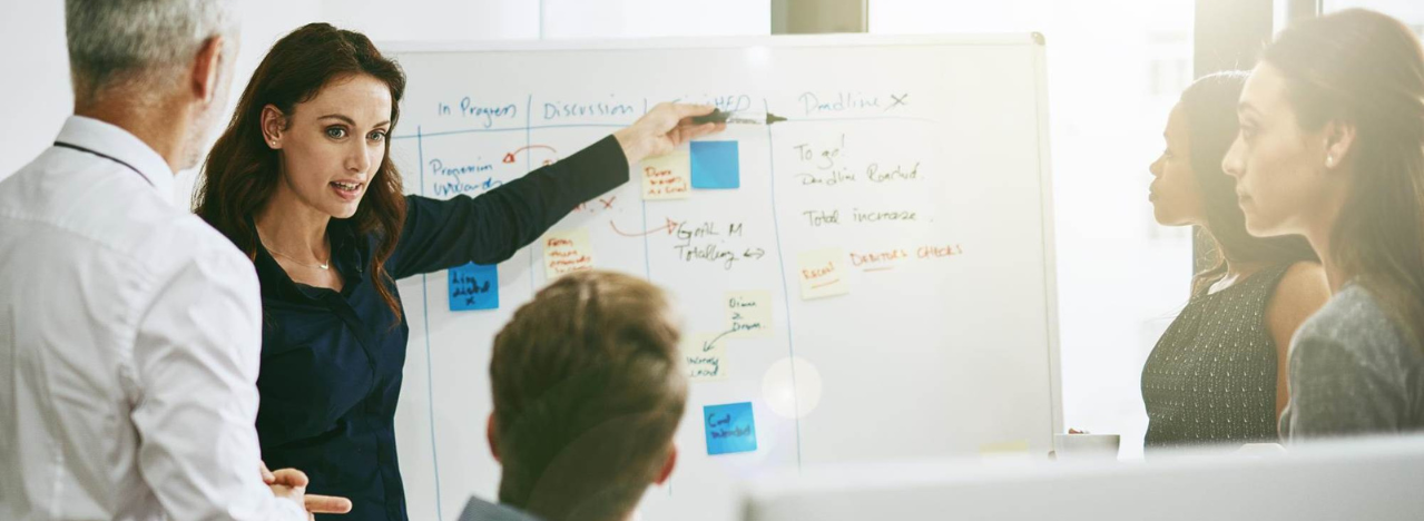 Roche Healthcare Consulting