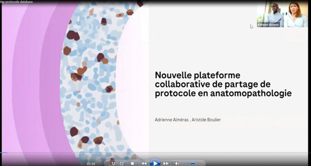 Vignette replay protocole databese