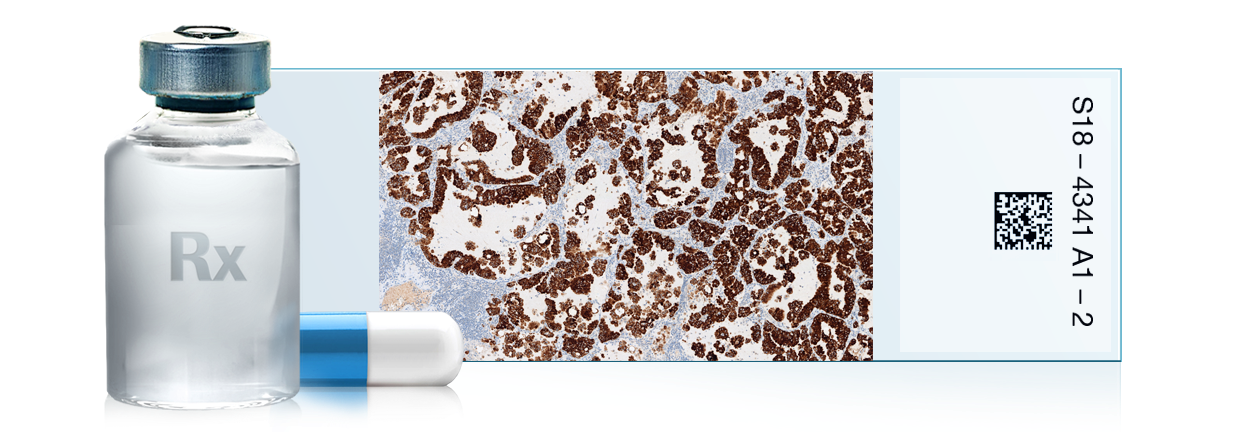 PD-1 (NAT105) Mouse Monoclonal Antibody