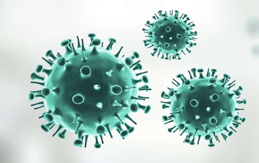  Influenza A and B viruses