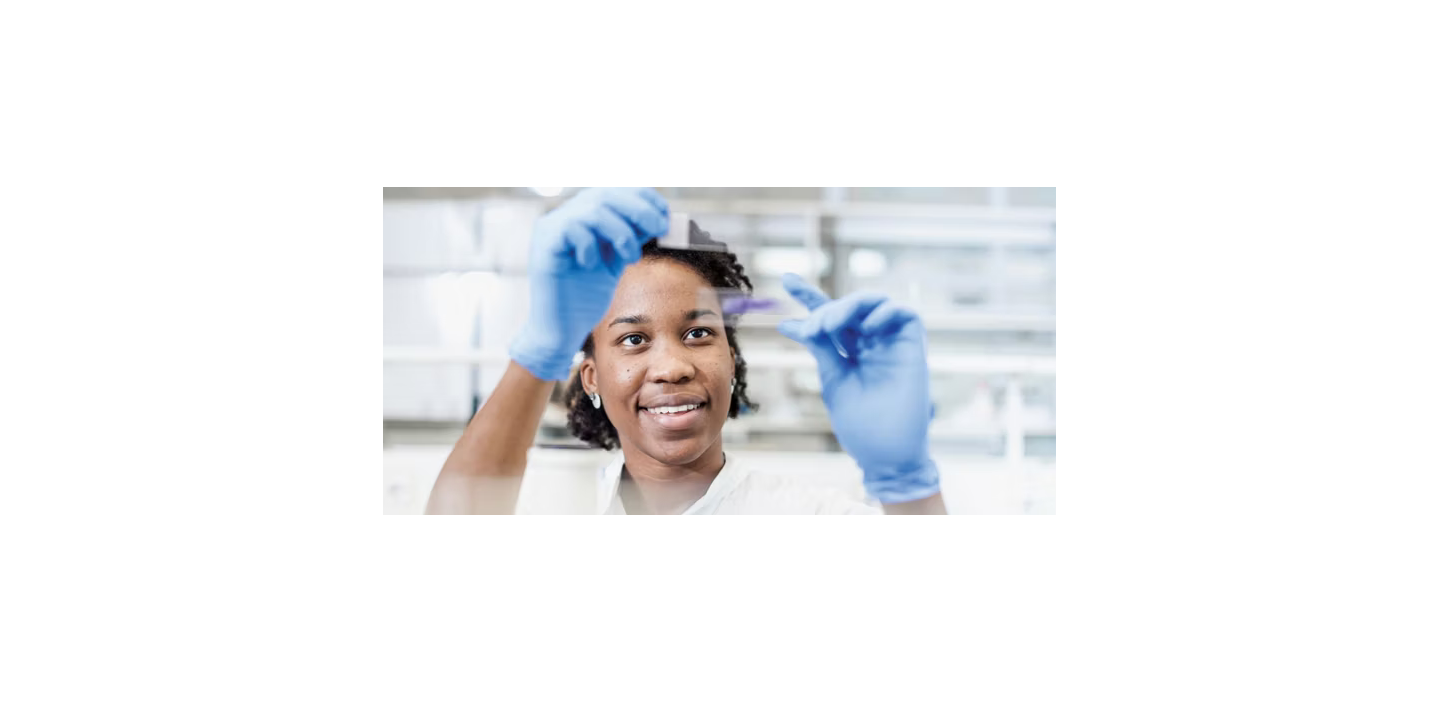 doctor looking at stain