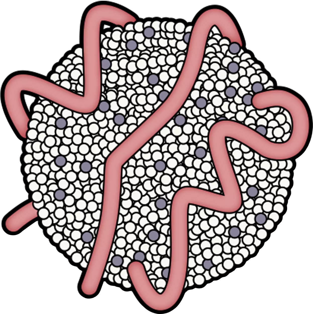 Lipoprotein(a): A Genetically Determined, Causal, and Prevalent