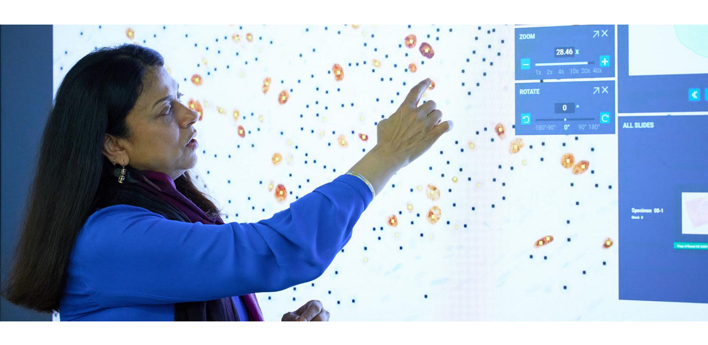 Pathologist looking at a digital pathology image analysis algorithm on a large screen.