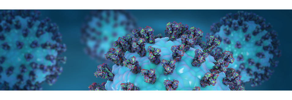 parainfluenza