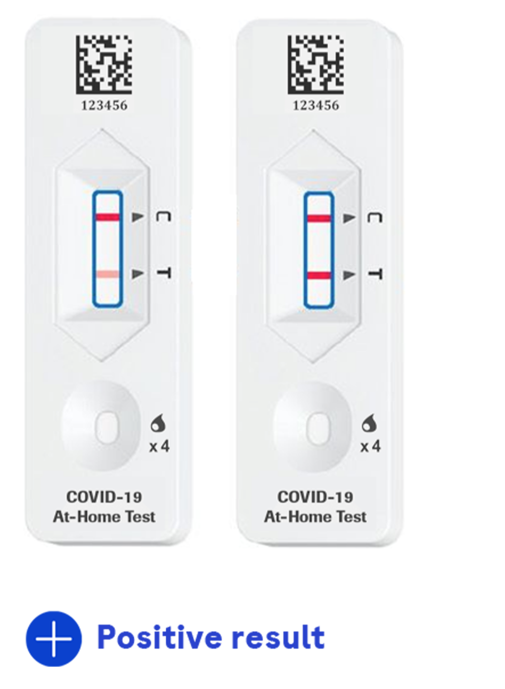 Home Blood Type Testing Kit, 1 Kit, North American Pharmacal