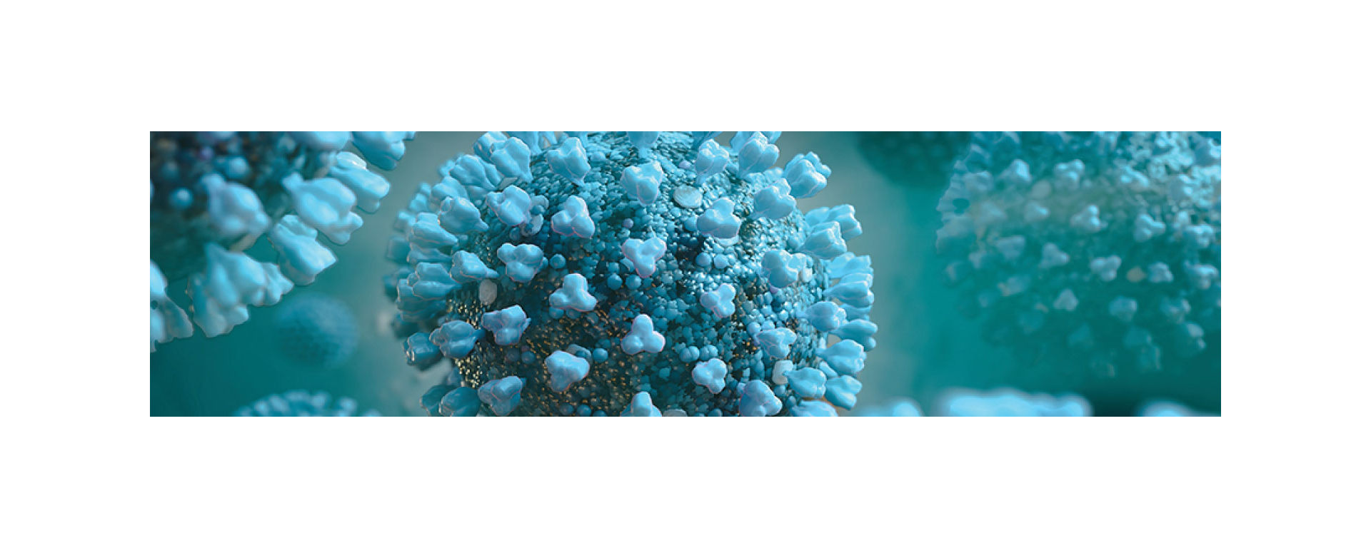 coronavirus