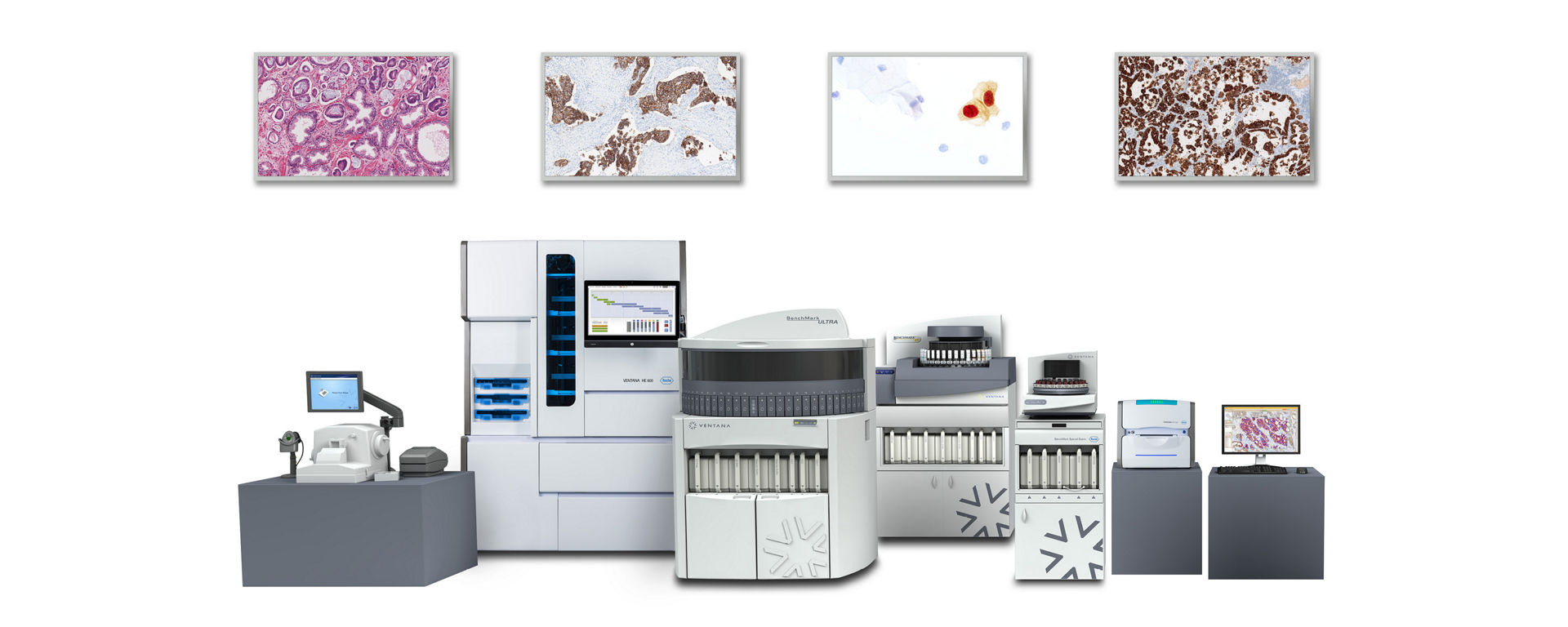 giải phẫu bệnh