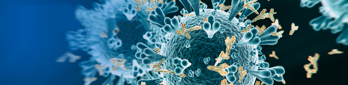 SARS-CoV-2 and antibodies