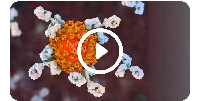 Vignette replay HCV duo