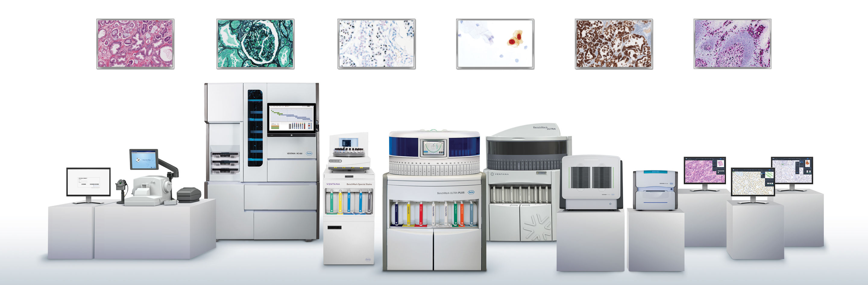 Automated slide staining systems