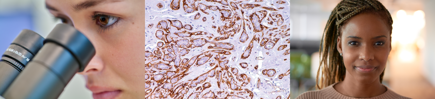 BenchMark-Dermatopathology-IHC-Portfolio