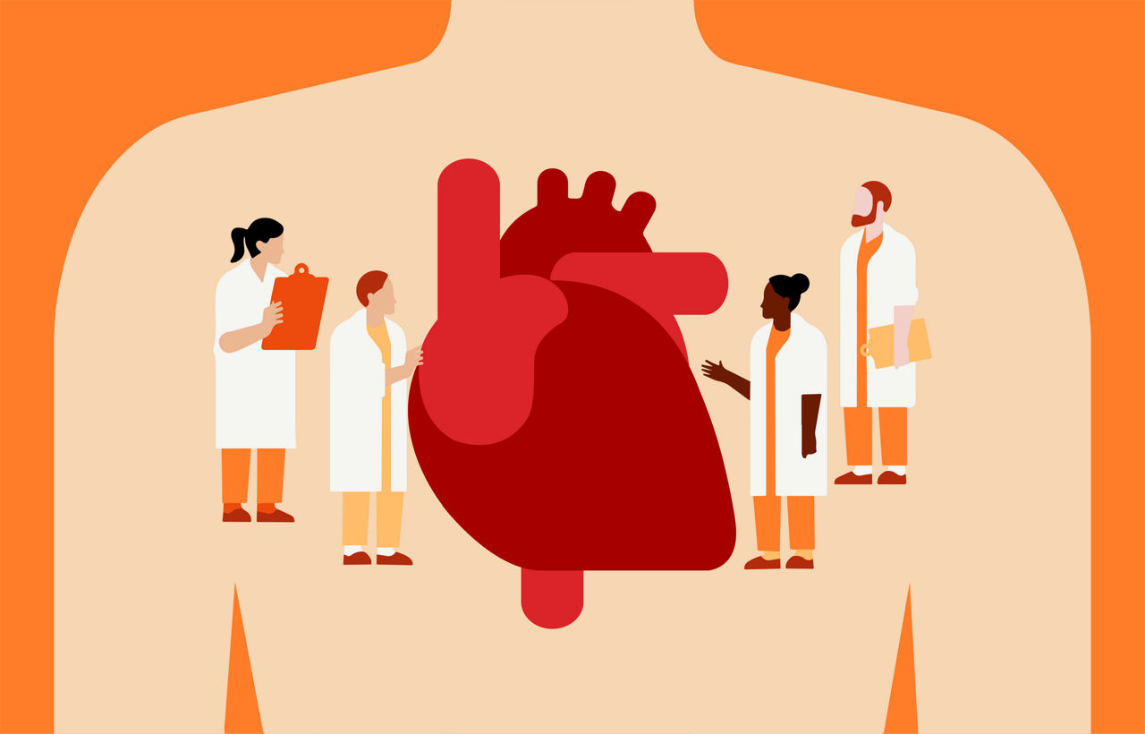 Illustrazione di quattro operatori sanitari, due donne e due uomini, che osservano l'illustrazione di un cuore in primo piano.