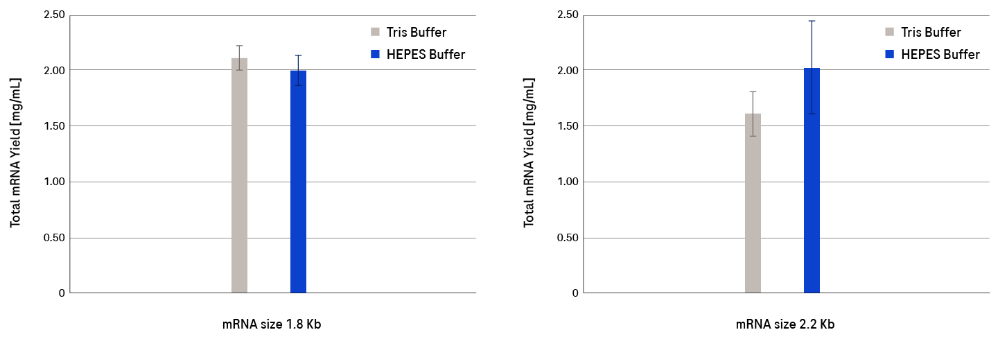 rna polymerase reaction