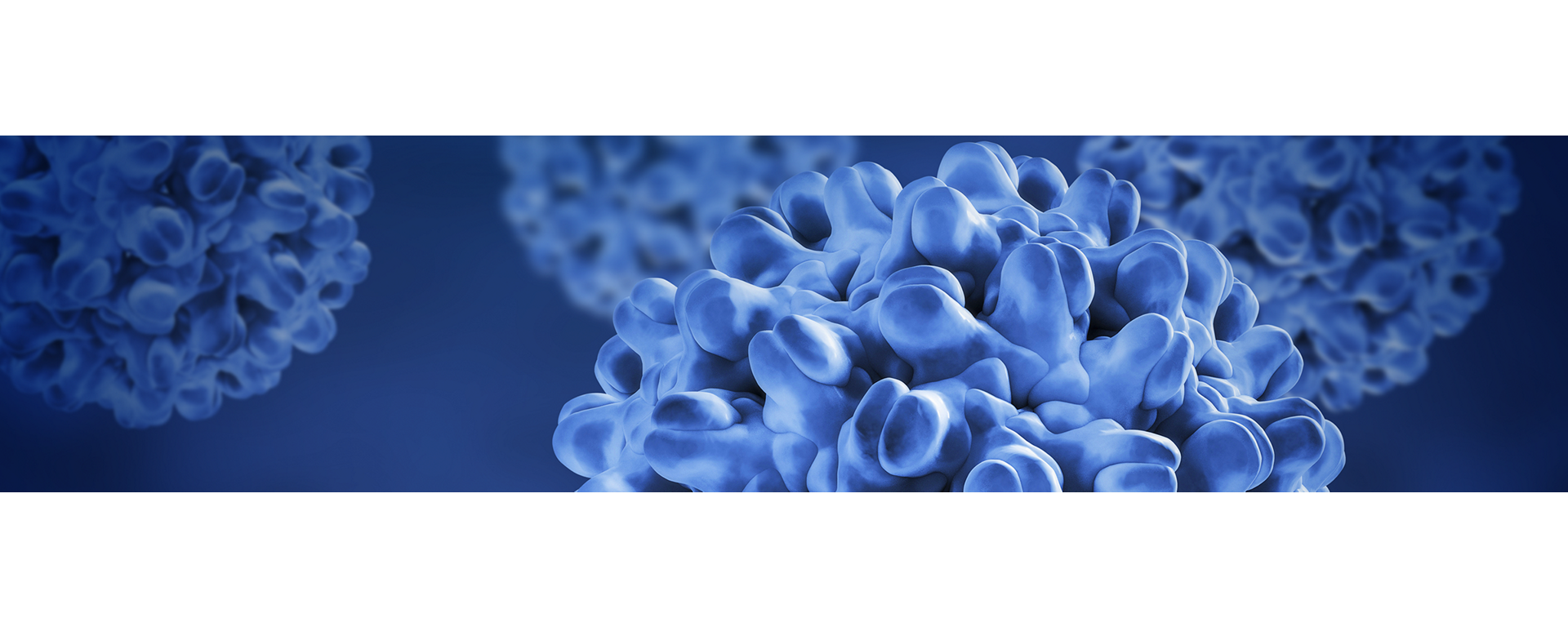 cobas hbv test for the cobas 5800-6800-8800