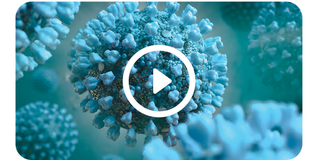 Vignette replay HCV duo