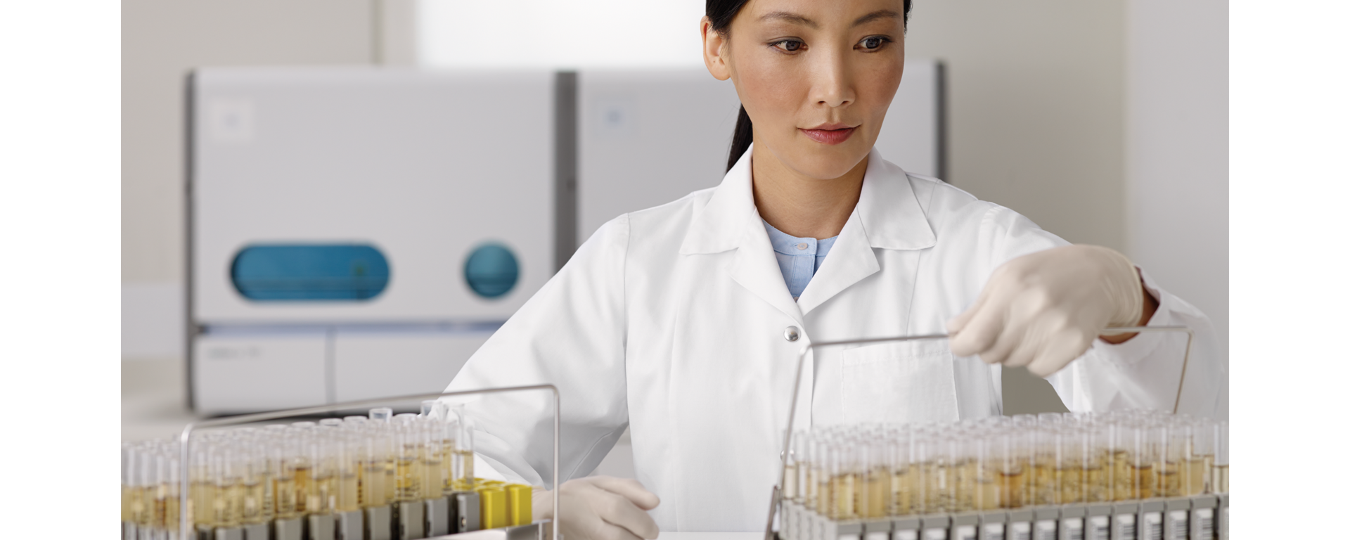 Intestazione analizzatori per urine cobas® 6500