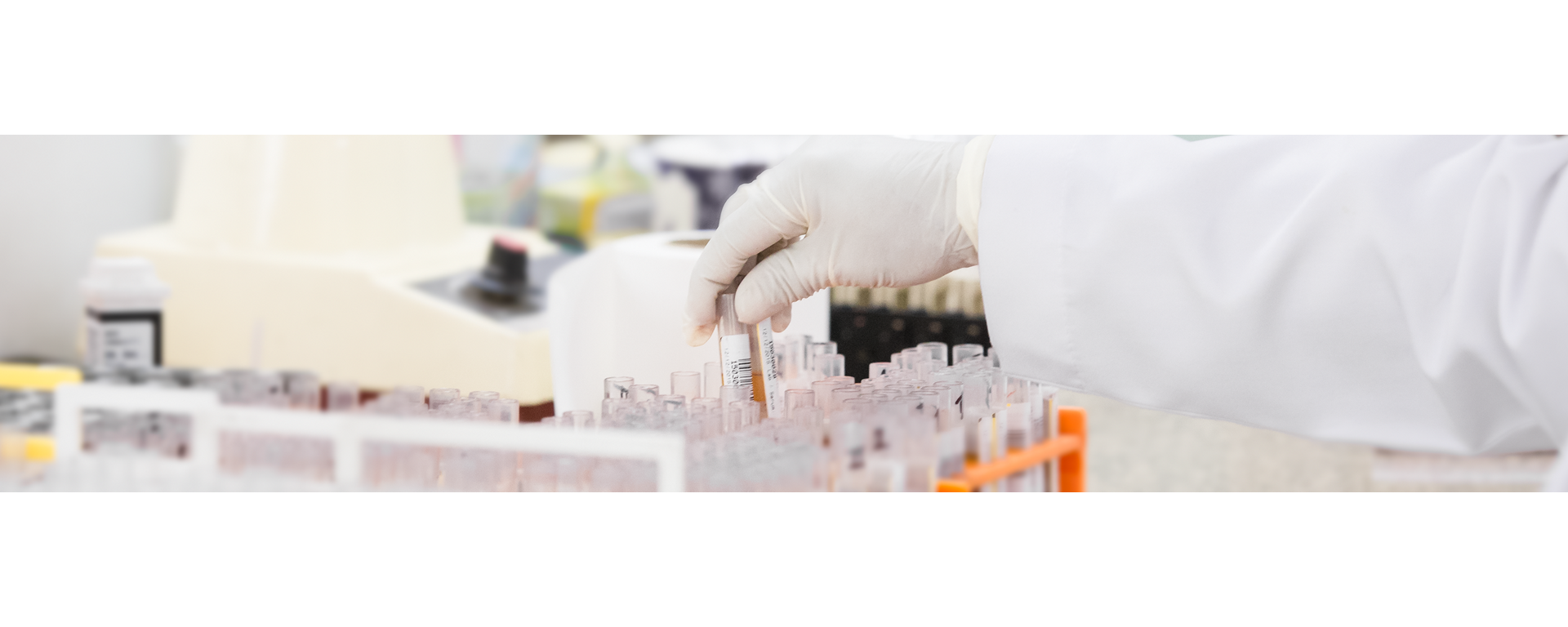Laboratory