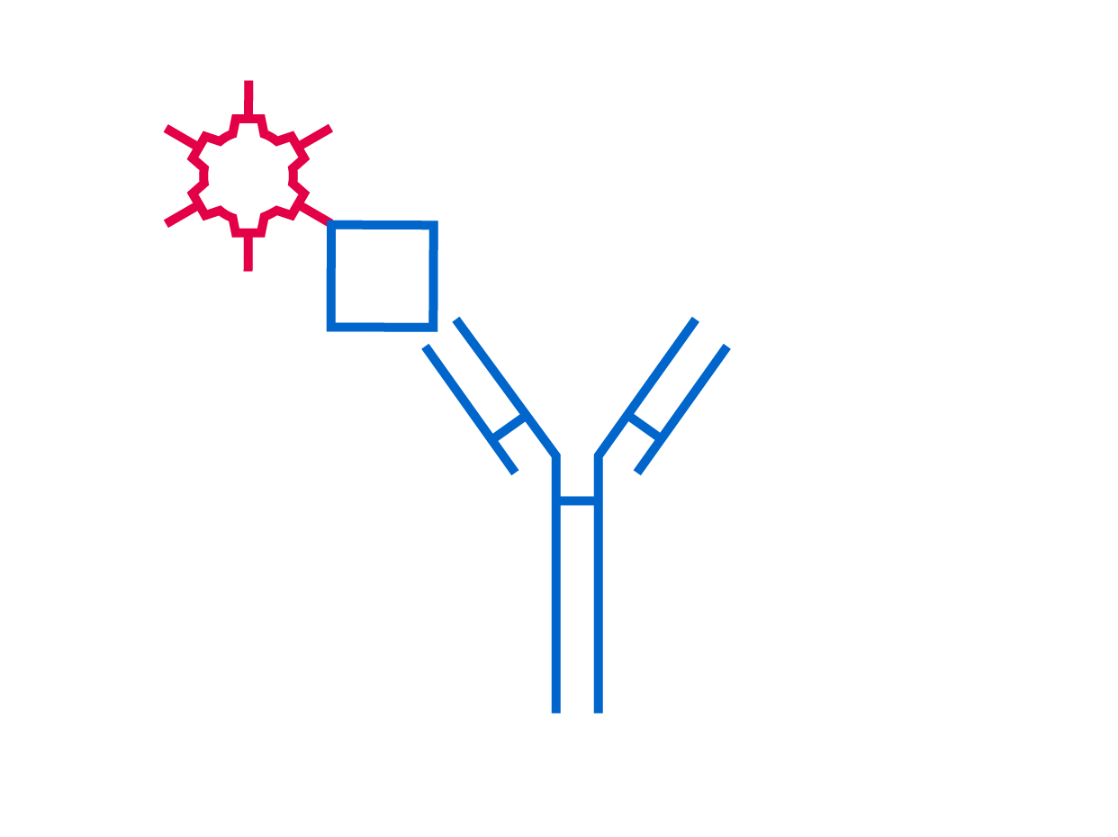 Express Covid Test Igm Igg Antibodies Novel Coronavirus Sars Cov Stock  Photo by ©anyaivanova@gmail.com 377790846