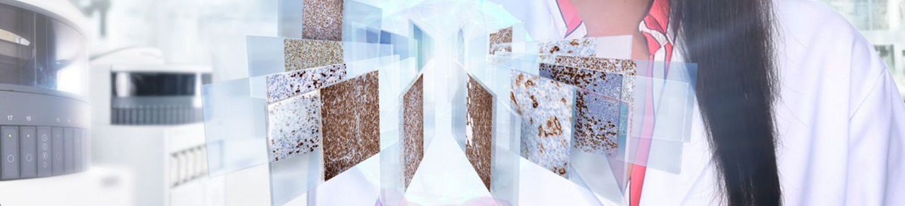 皮膚病理学IHC ISHアッセイ