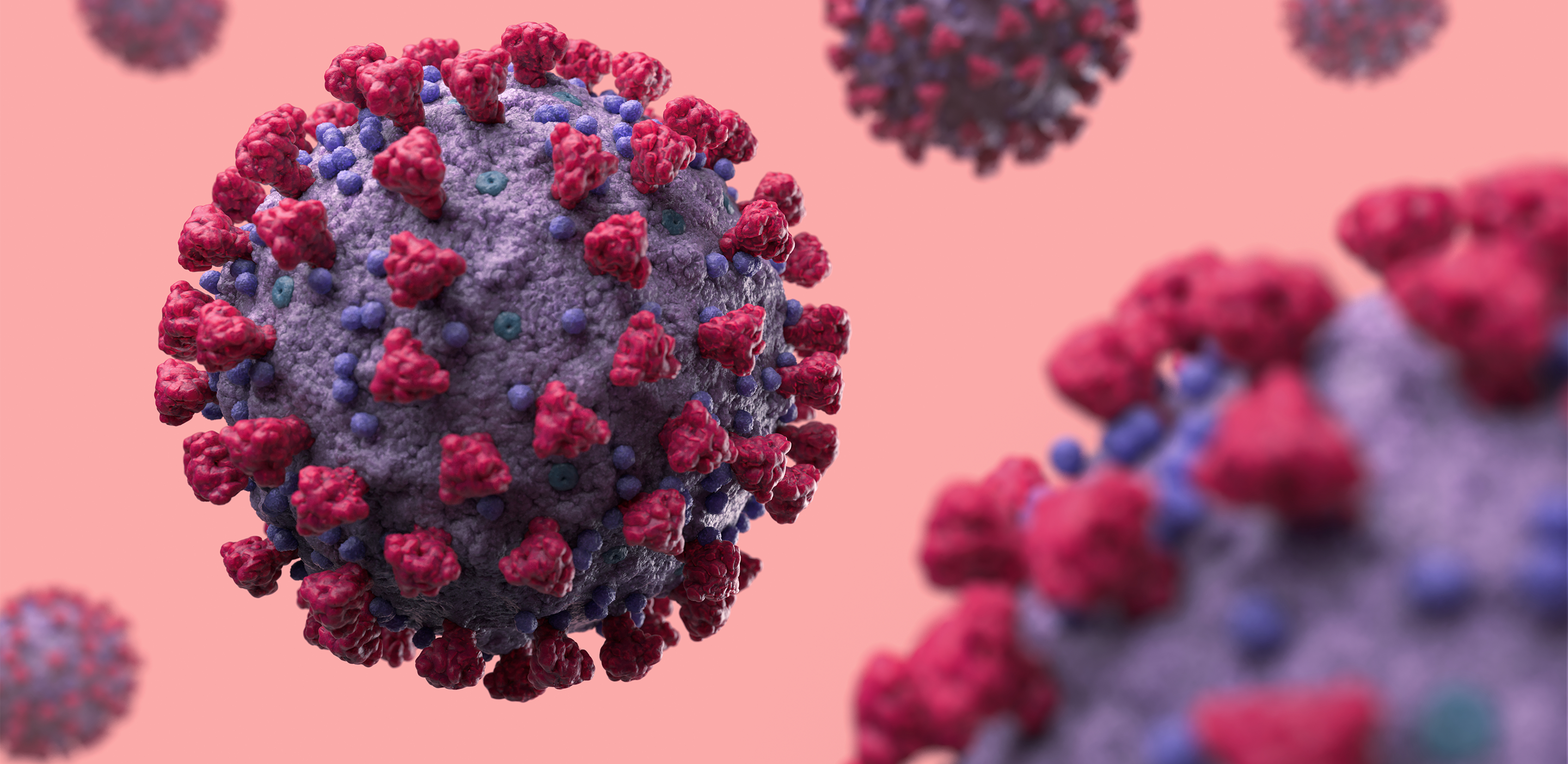 Detecting Coronavirus Variants with Roche Assays