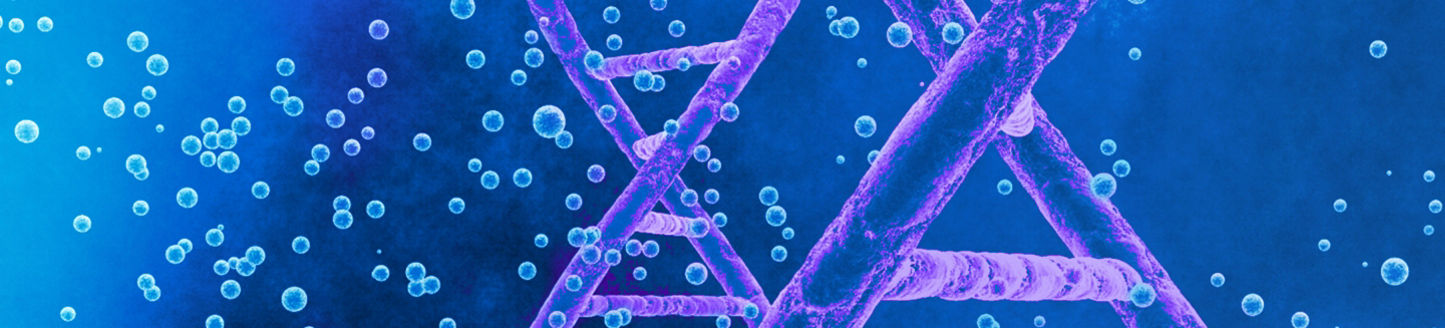 DNA double helices