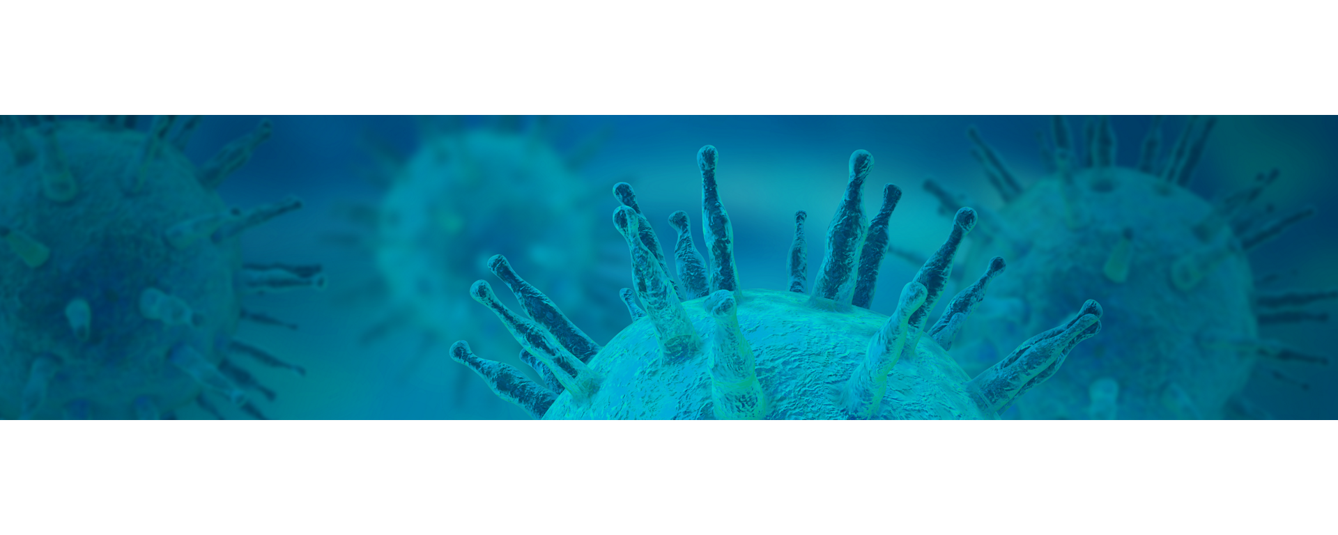 cobas Epstein-Barr EBV virus
