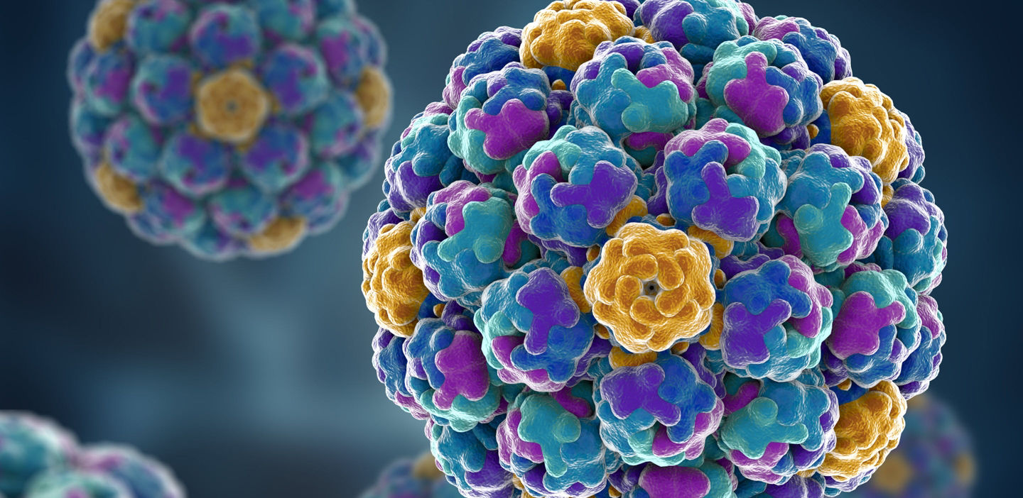 Congress of the European Society of Clinical Microbiology & Infectious Diseases