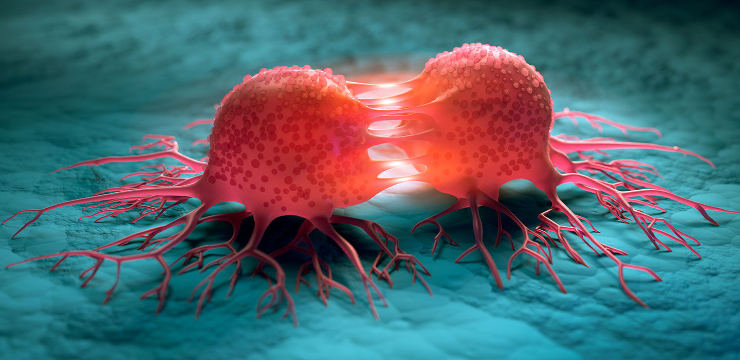 Complex Biology of Cancer Mutations