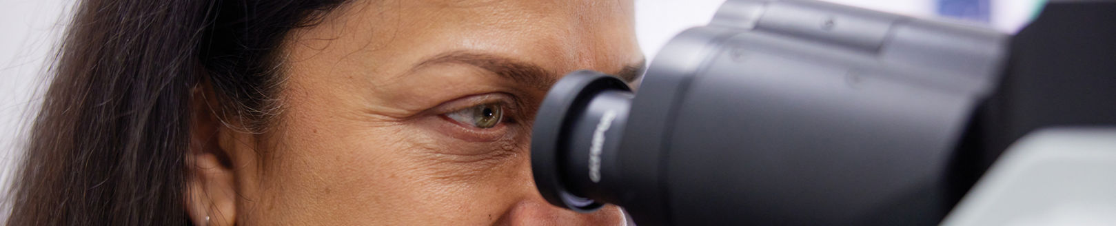 early stage development