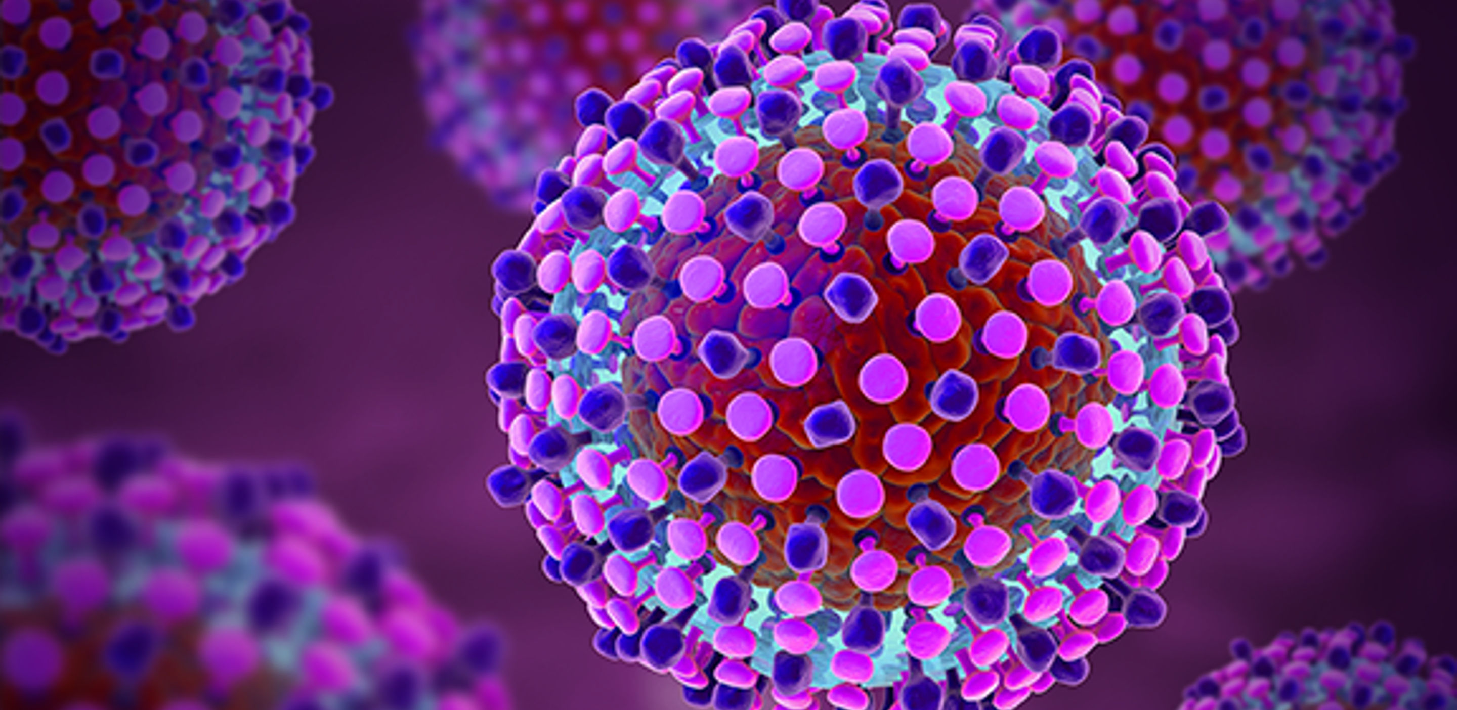 HCV Dual Probe