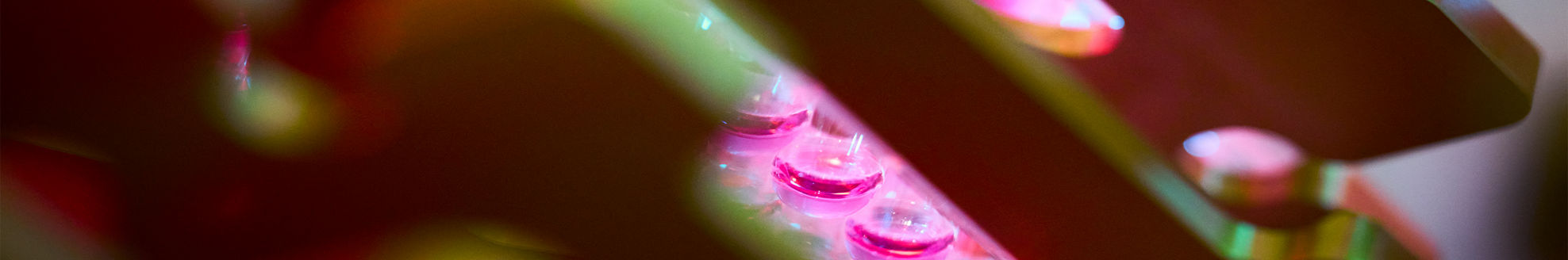 your assay choice matters banner