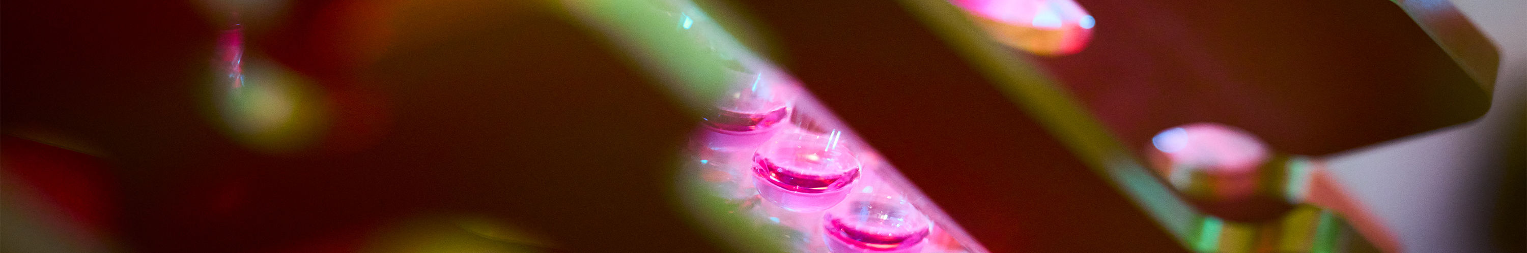 Roche CDx | Global pharma partner of choice for diagnostics