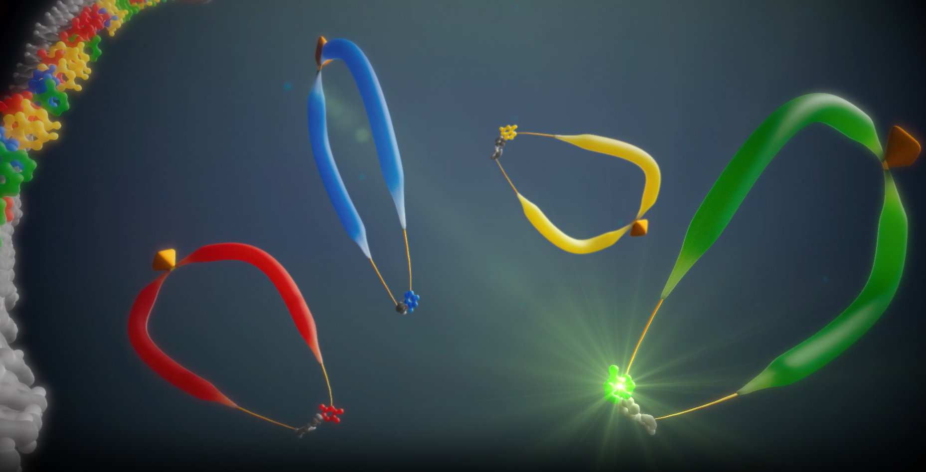 Overview of sequencing by expansion (SBX) technology