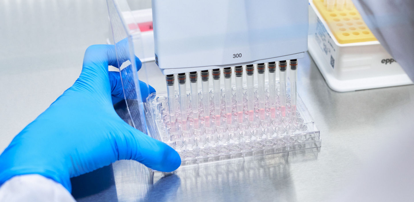 a gloved hand holding serial dilution of wells in a culture plate in a lab