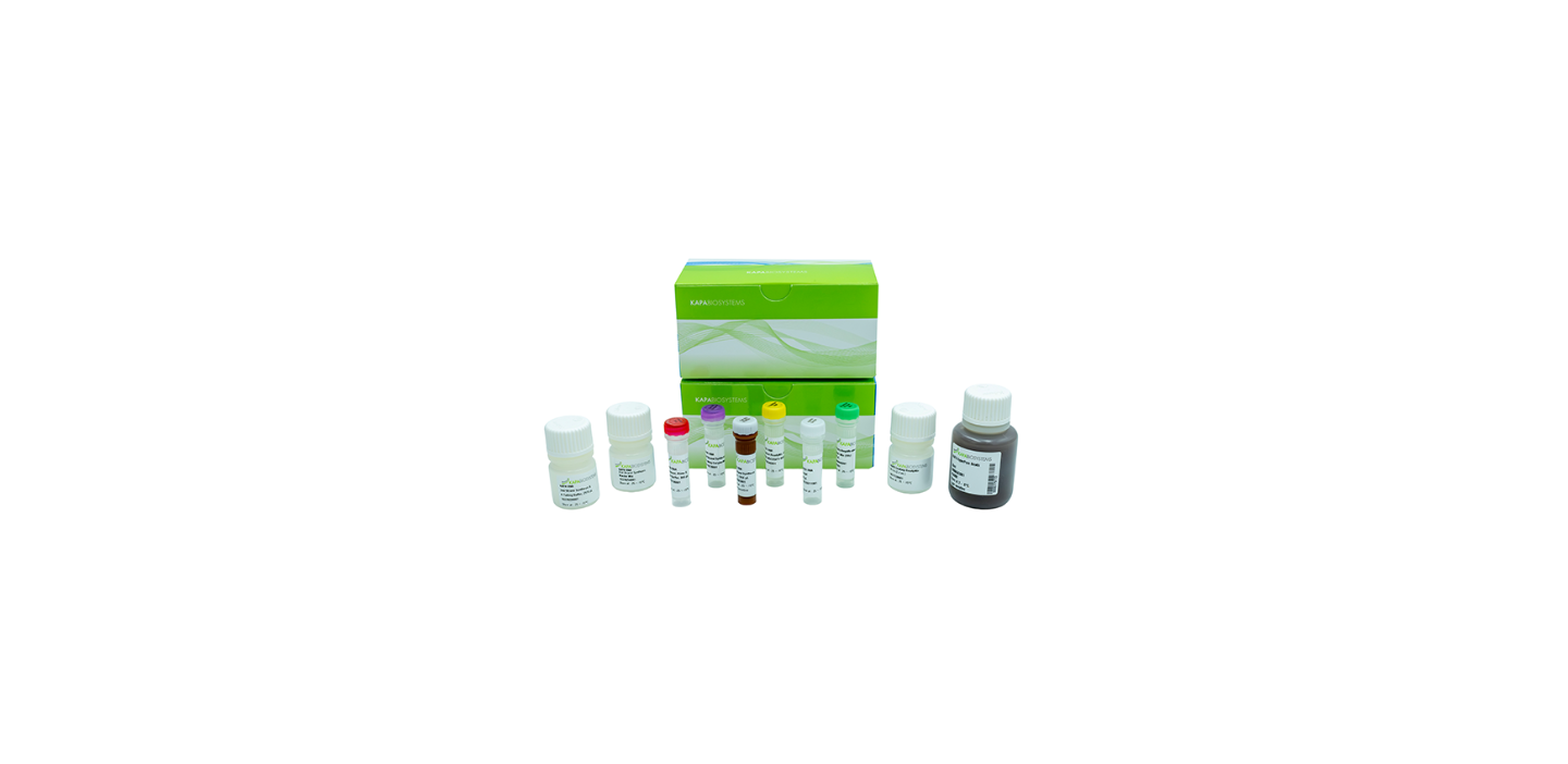 kapa rna evoprep kits