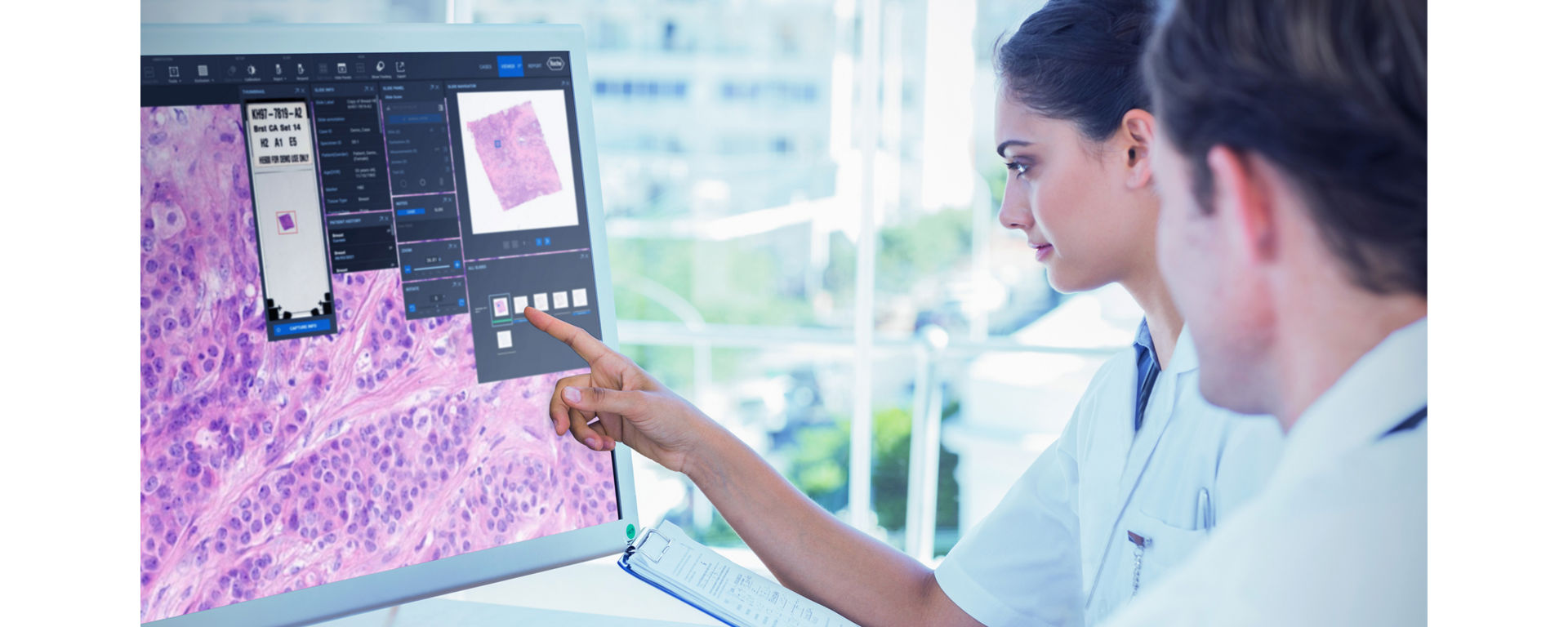 navify digital pathology doctor looking at screen