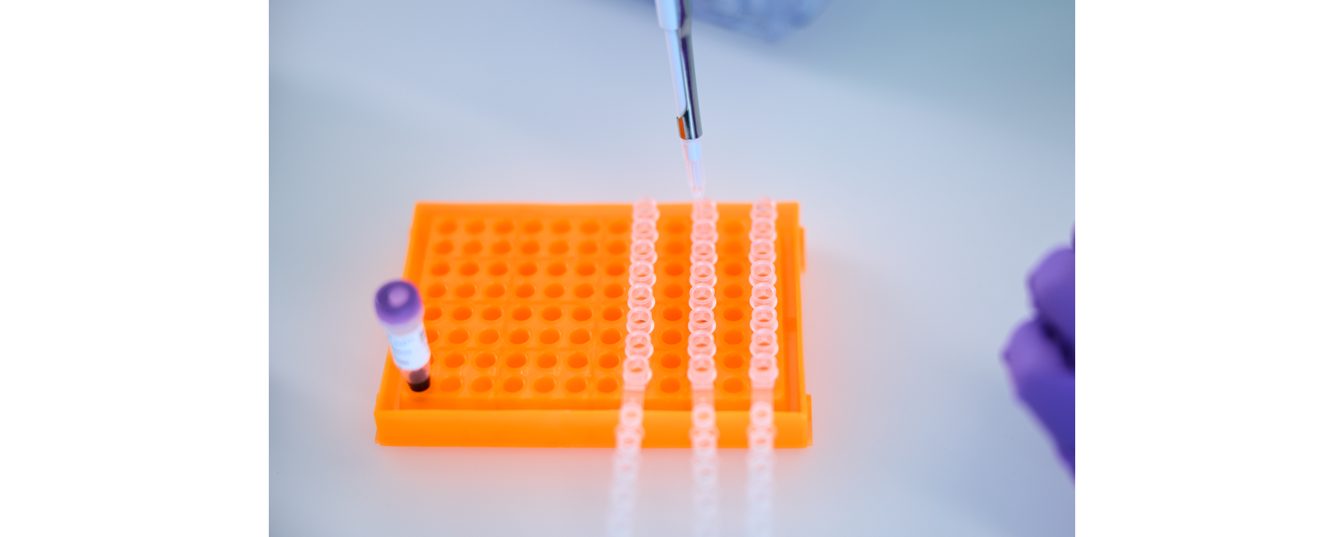 An orange microplate with vials of reagents as part of a sequencing prep workflow for NGS applications