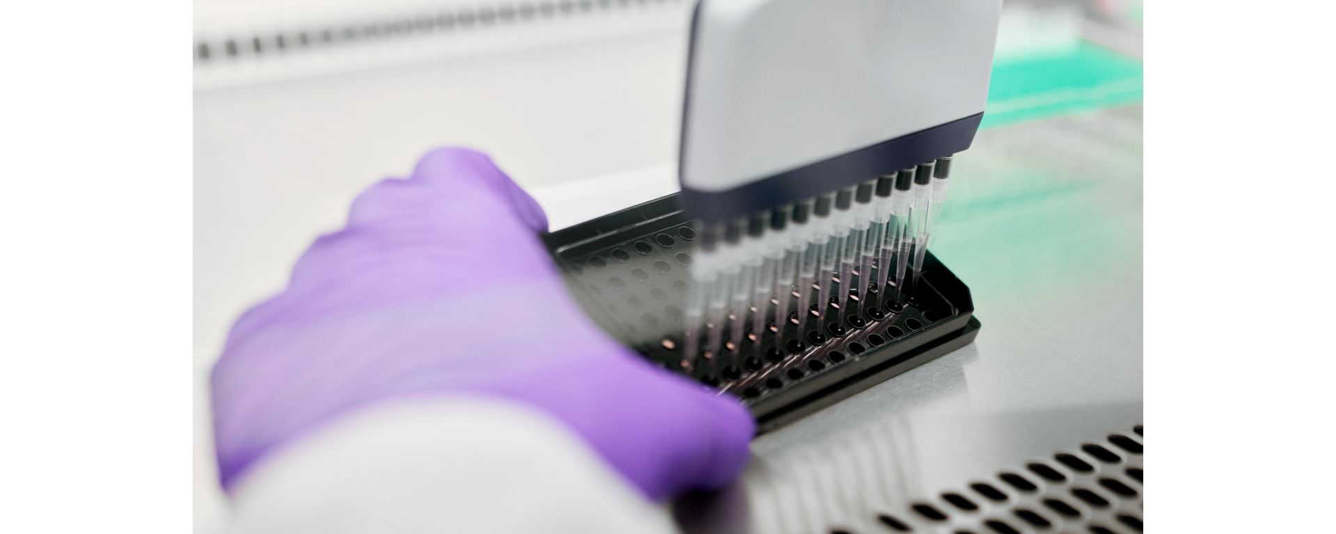 A technician pipettes samples into a 96 well plate while performing NGS target enrichment methods