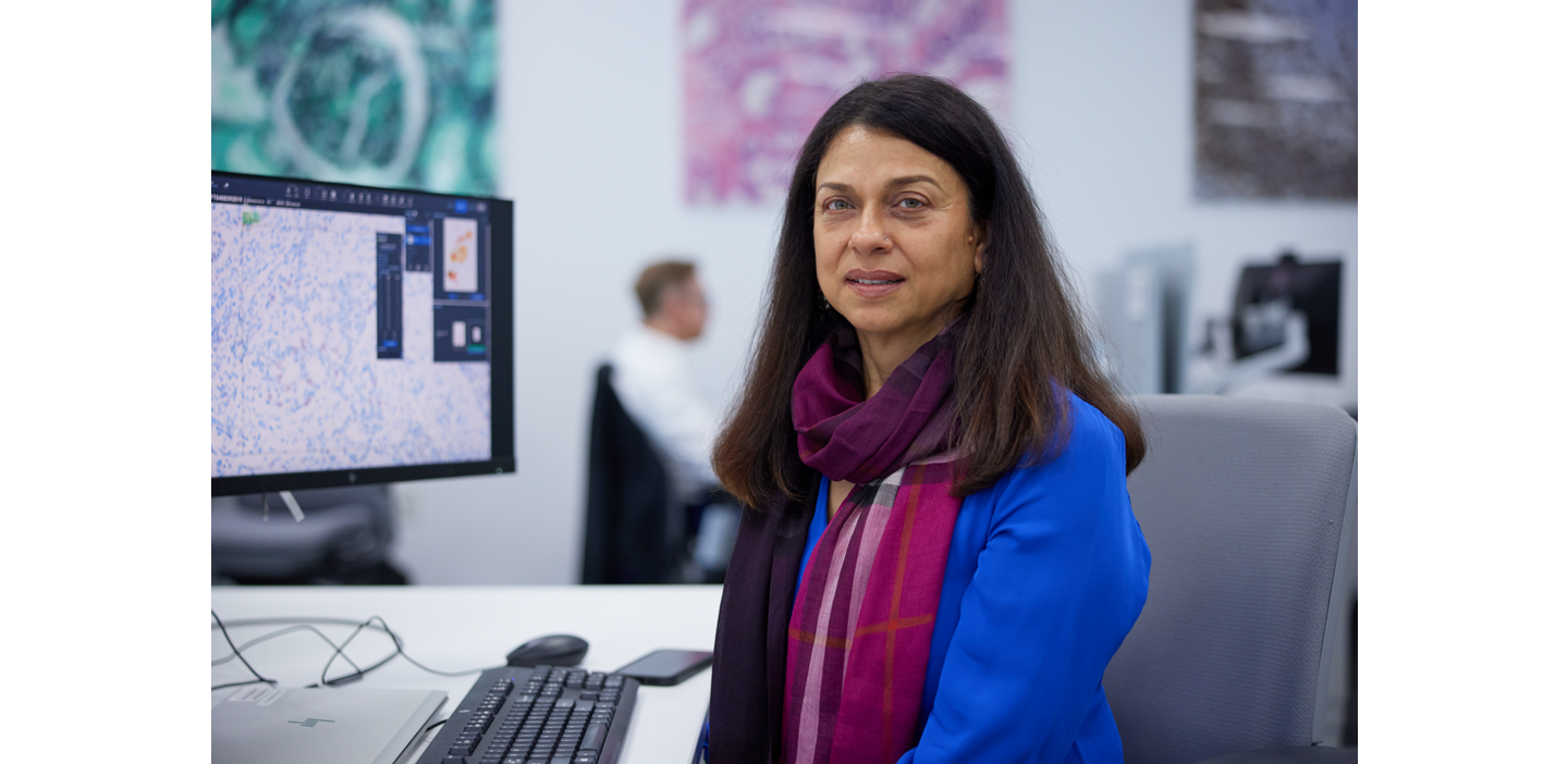 environnement ouvert de pathologie numerique